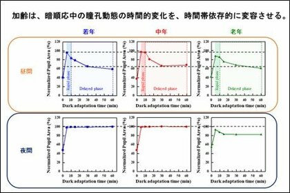【摂南大学】暗闇適応時の瞳孔反応は時間帯や加齢で変化