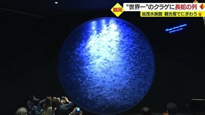 「クラゲ展示数世界一」の加茂水族館や戦国史上最大の死闘を再現した「米沢上杉まつり」で山形がにぎわう【山形発】