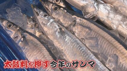 “秋の味覚”サンマ   味＆価格を徹底調査   “奇跡のサンマ”が続々  すし店＆鮮魚店では｢嬉しい異変｣ 【福岡発】