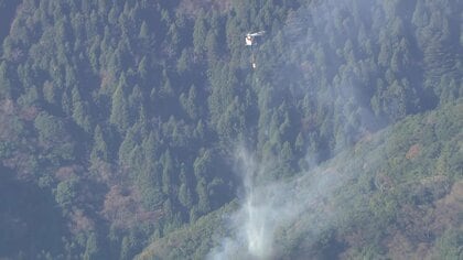 神奈川県伊勢原市の山火事は消火活動開始も鎮火のめど立たず、群馬県の妙義山では火の勢い弱まる　関東各地で乾燥注意報