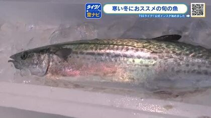 プロがすすめる旬の魚「サワラ」　冬が旬！脂が乗って安い！刺身、焼き魚、しゃぶしゃぶでも