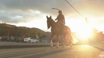 「縁起がよさそう」 眩く照らす元旦の朝陽の下 畦道を颯爽と駆け抜け 干支の『午』に乗って特別な初詣 【福岡発】