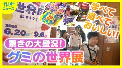 空前の大ブーム　グミ人気の理由は？美術館で企画展開催　驚きの大盛況　歴史と魅力を楽しみながら学ぶ　スタッフの「グミ愛」が開催のきっかけ