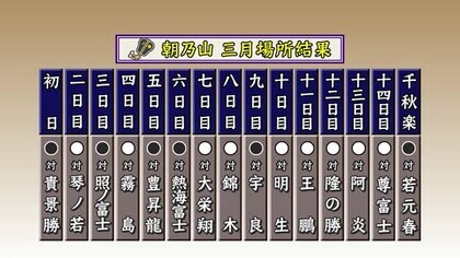 柔らかい 大相撲ガチャ朝乃山関２つ タレントグッズ