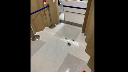 大分空港でぼや騒ぎ　モバイルバッテリーが燃えたか　手提げカバンの中　ANAカウンター前で