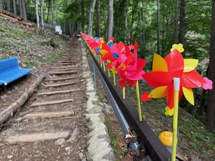 「御巣鷹の尾根」慰霊の登山道は今　日航機墜落事故から40年