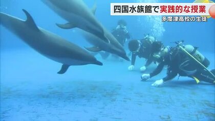 イルカが泳ぐ中での実践的授業　高校生が宇多津町の水族館で水深４メートルのプールに潜り清掃作業【香川】