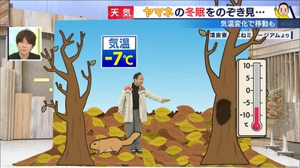 超貴重！大分で「森の妖精」ニホンヤマネが見つかる…敵から身を守る“スゴ過ぎ冬眠”の秘密