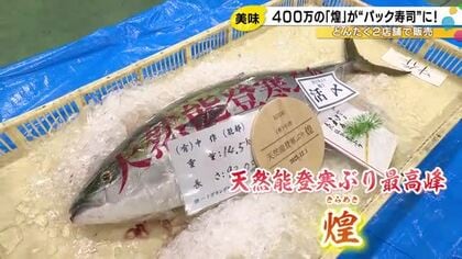 1匹400万円…天然能登寒ブリの最高峰『煌』競り落としたスーパーで“寿司”に 原価は1パック6万円超