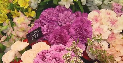 「母の日」前に…カーネーション価格”さらに2割上昇　ここにもウクライナ侵攻の影響