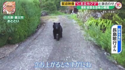 目の前3m！カメラが捉えた“仁王立ちのクマ” 緊迫の動画終了後に何が