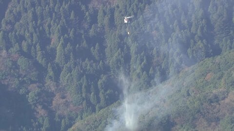 神奈川県伊勢原市の山火事は消火活動開始も鎮火のめど立たず、群馬県の妙義山では火の勢い弱まる　関東各地で乾燥注意報