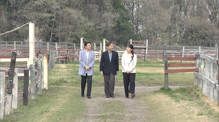 御料牧場に到着された後、ご一家は、馬の放牧地を散策された(5日午後)