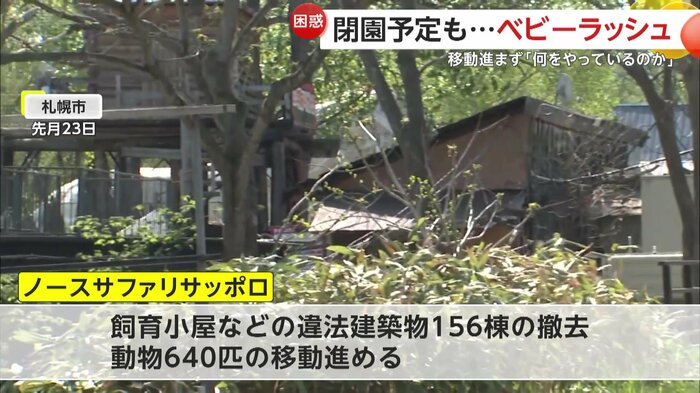 動物の移動が進まないノースサファリサッポロ