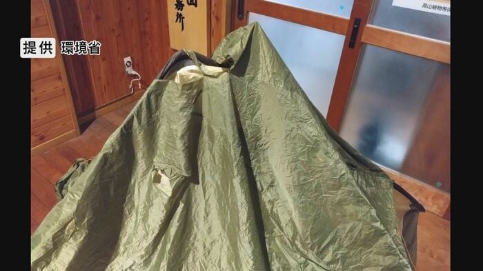 テントが破られる 提供:環境省