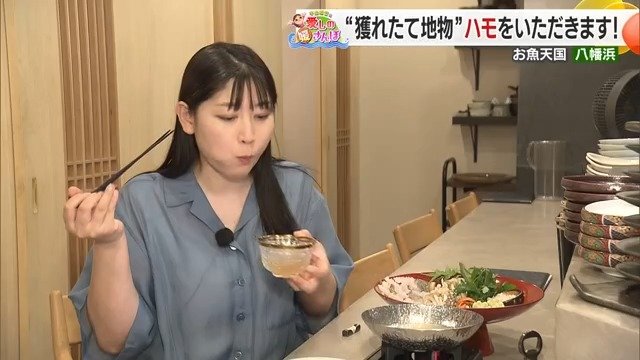八幡浜の海の恵みの豊かさを再認識できる『おさんぽ』