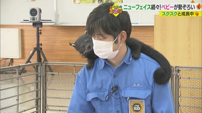 「茶々丸」の独り立ちも近い…?