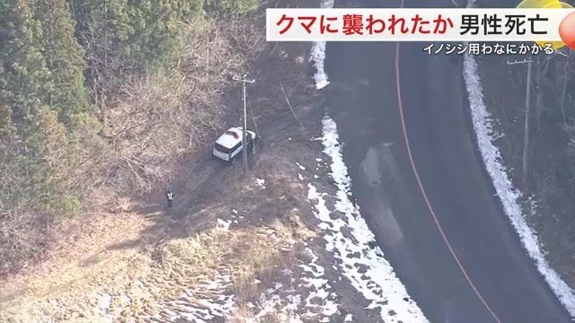クマの駆除にあたったハンターが取材に応じた