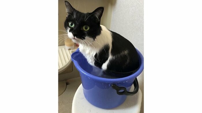 たっぷりのお湯でも暴れずリラックス
