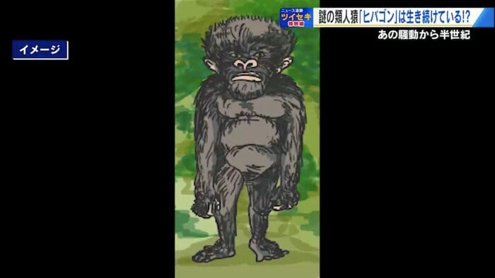 目撃者の証言をもとに描かれた「ヒバゴン」のイメージ