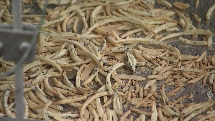 南部せんべいを製造するときにでる“みみ”の部分