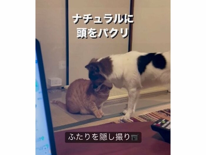 提供:naomiさん