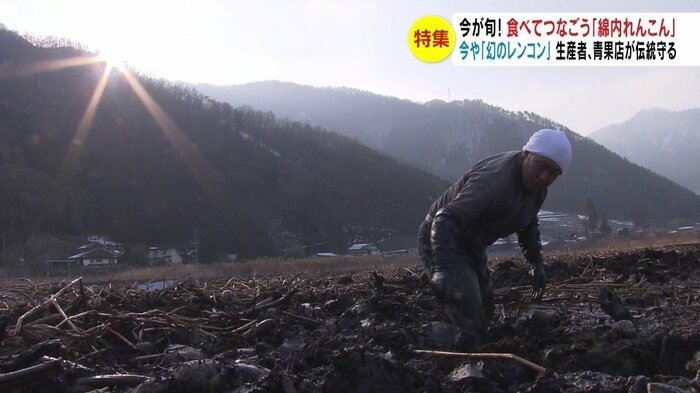 栽培農家は堀さんを含め3軒だけ