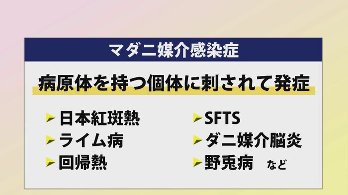 マダニ媒介感染症の一例