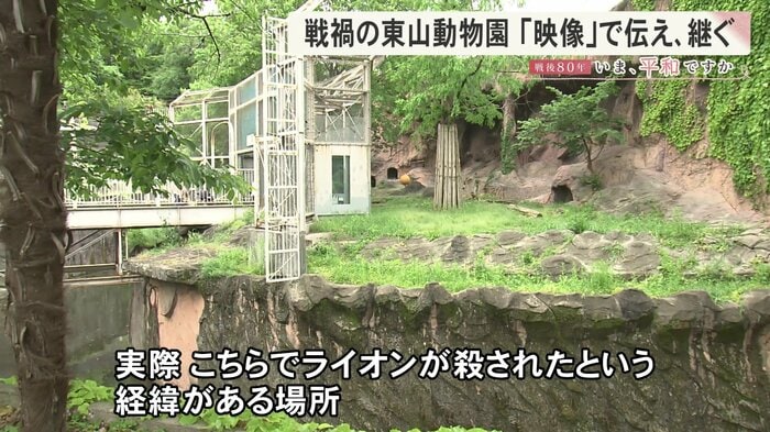 ニュースONE