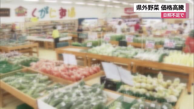 県外野菜の価格高騰 長引いた梅雨の影響