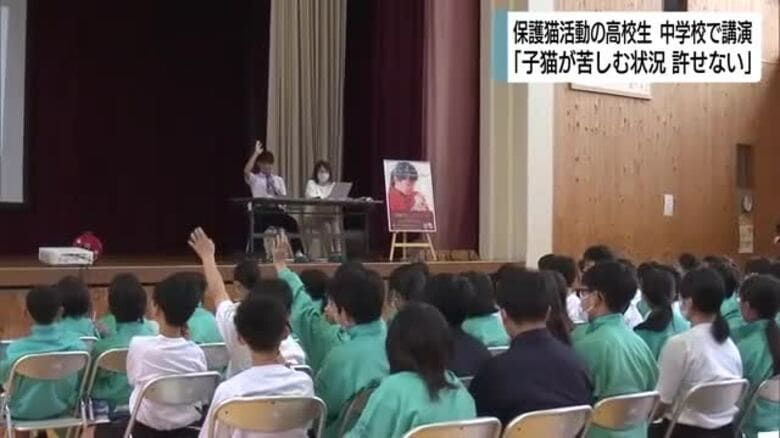 「何の罪もない小さな子ネコたちが…」660匹の猫を保護した高校生　中学生に小さな命を守る思い伝える｜FNNプライムオンライン