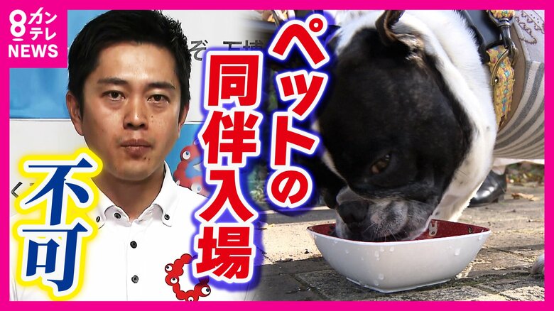 万博「ペット同伴」実現せず　吉村知事「残念に思う」　予約不要で利用できる「紙チケット」は“混雑時以外”に限定　大阪府市と協会折り合わず｜FNNプライムオンライン