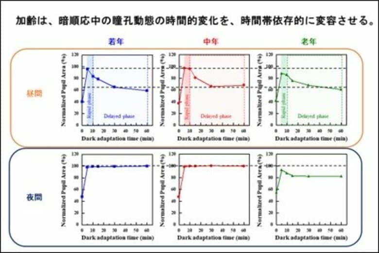 【摂南大学】暗闇適応時の瞳孔反応は時間帯や加齢で変化