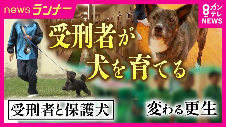 「自分と重なる部分がある」　受刑者による「保護犬育成プログラム」で再犯防止に繋げる狙い　一筋縄ではいかない更生も…互いに変化｜FNNプライムオンライン