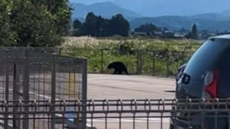 【速報】富山市熊野地域のクマは駆除　県内初の緊急銃猟での発砲｜FNNプライムオンライン