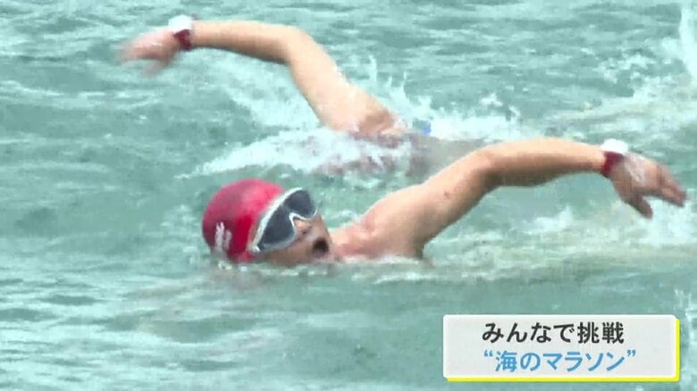 “海のマラソン”とも…オープンウォータースイミングの大会 10歳から75歳までの329人が参加 三重県尾鷲市｜FNNプライムオンライン