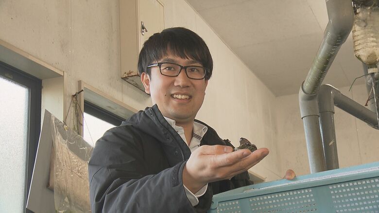 奇跡の親貝が照らす復活への道「もう一度、三陸翡翠あわびを届けたい」父から息子へ受け継ぐ不屈の精神、5億円の被害からの挑戦【岩手発】｜FNNプライムオンライン