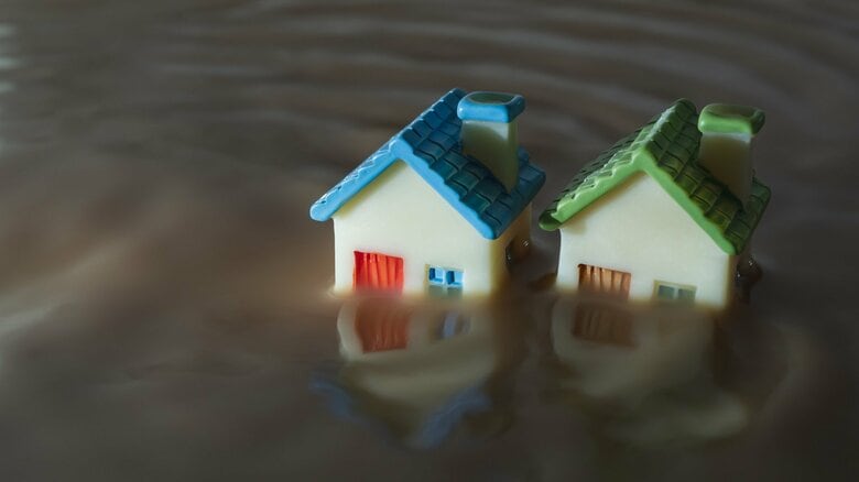 自宅が被災して住めなくなっても住宅ローンは残る!金融機関の対応と「被災ローン減免制度」を解説。自己破産との違いも|FNNプライムオンライン