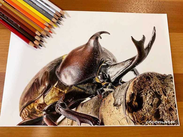 完成したカブトムシの絵