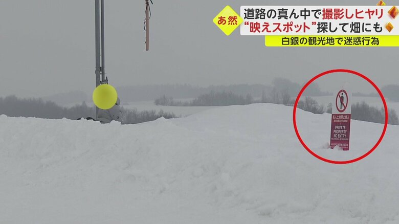 しかしそこは、立ち入り禁止エリアだった