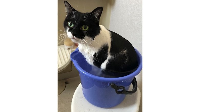 たっぷりのお湯でも暴れずリラックス