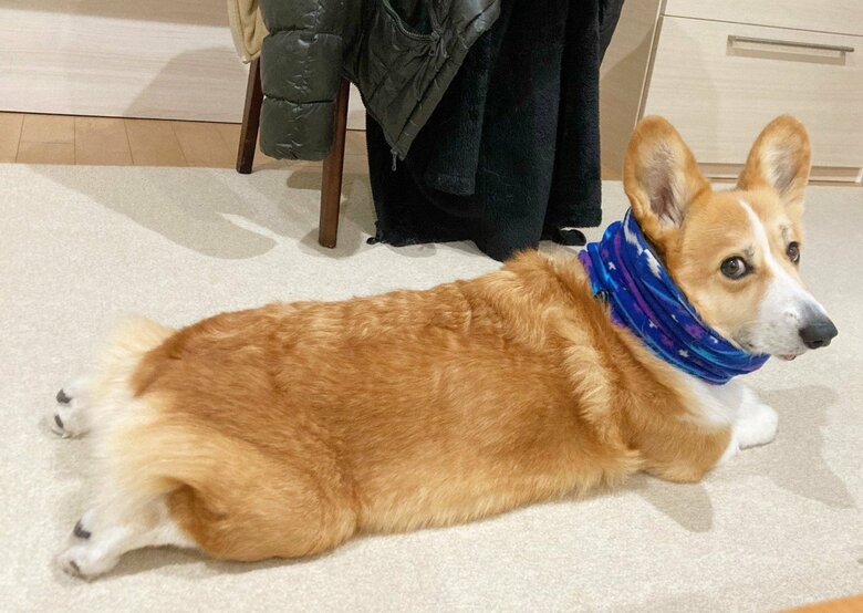 提供：むぎん家＠きよらさん