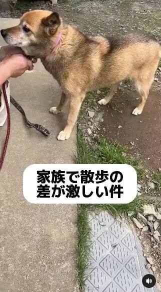 提供：タチバナさんの毎日ルーティン