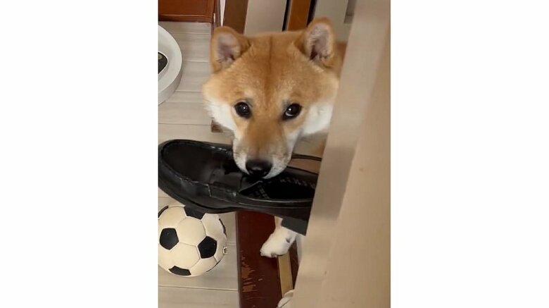 以前も同じローファーをくわえて検問にひっかかった