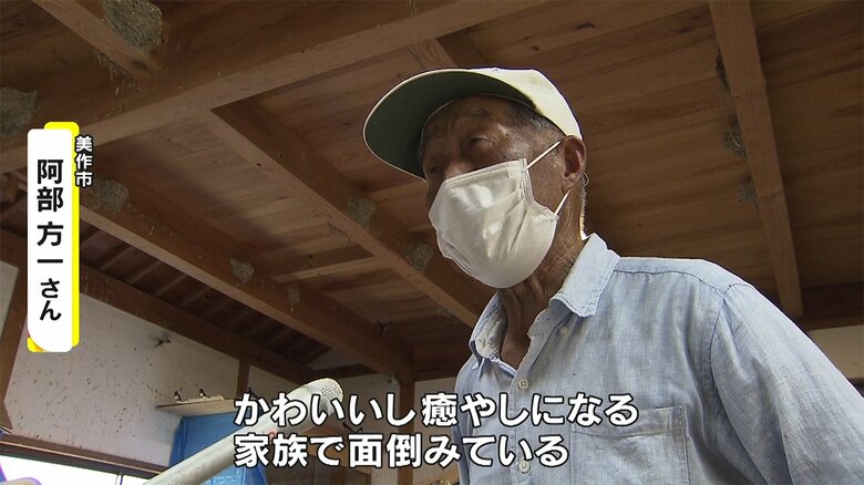 家族でツバメの面倒を見ていると話す阿部方一さん