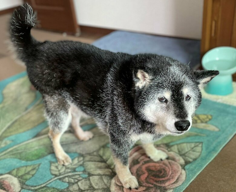 エサに肉が入ってなかった時の表情