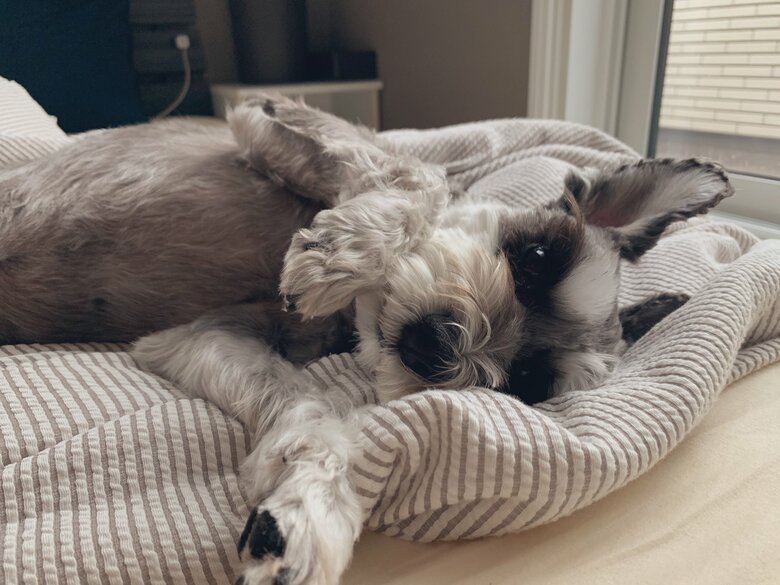 提供：くぅさん