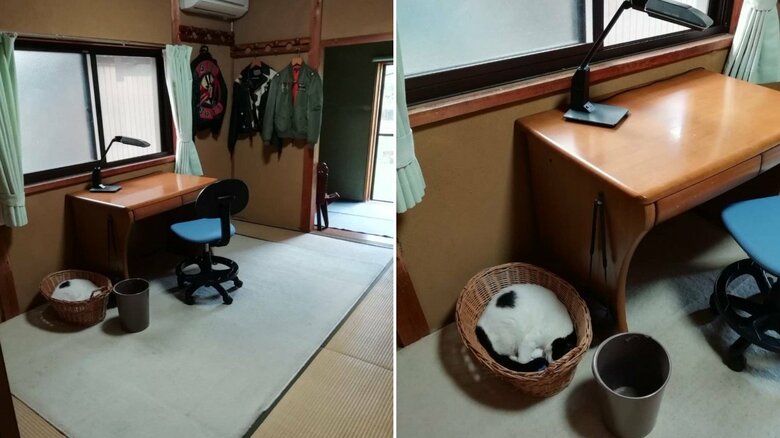 下宿先に戻った後も部屋で待っている