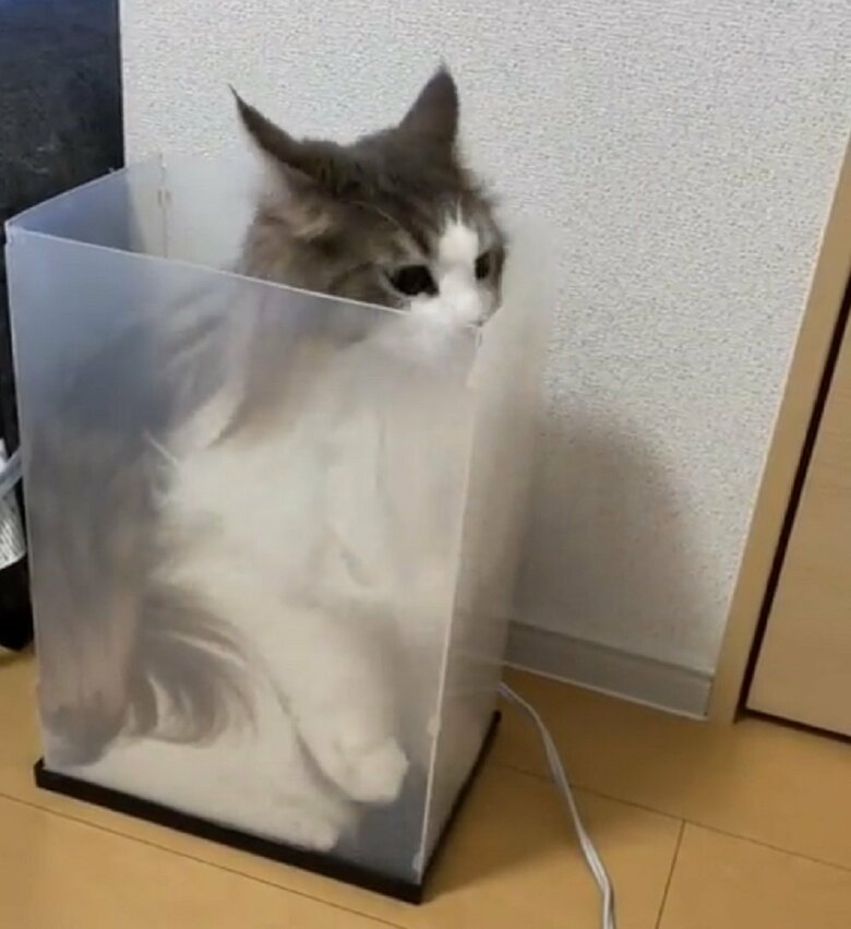 ぴったりフィット