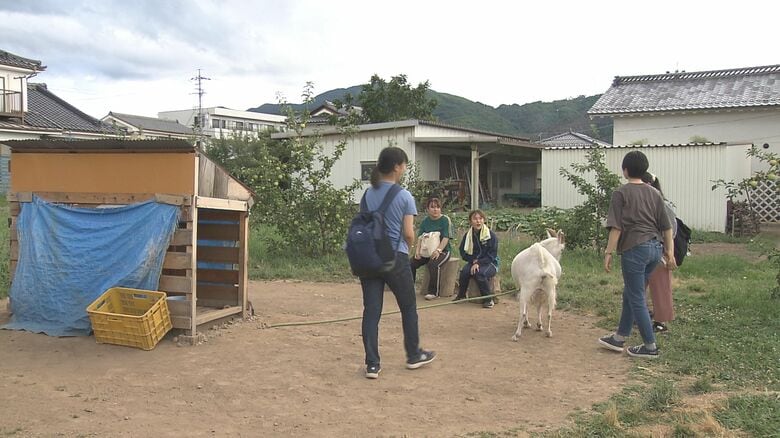 キャンパスに近い畑の一角に小屋を建てヤギ1頭を飼っている